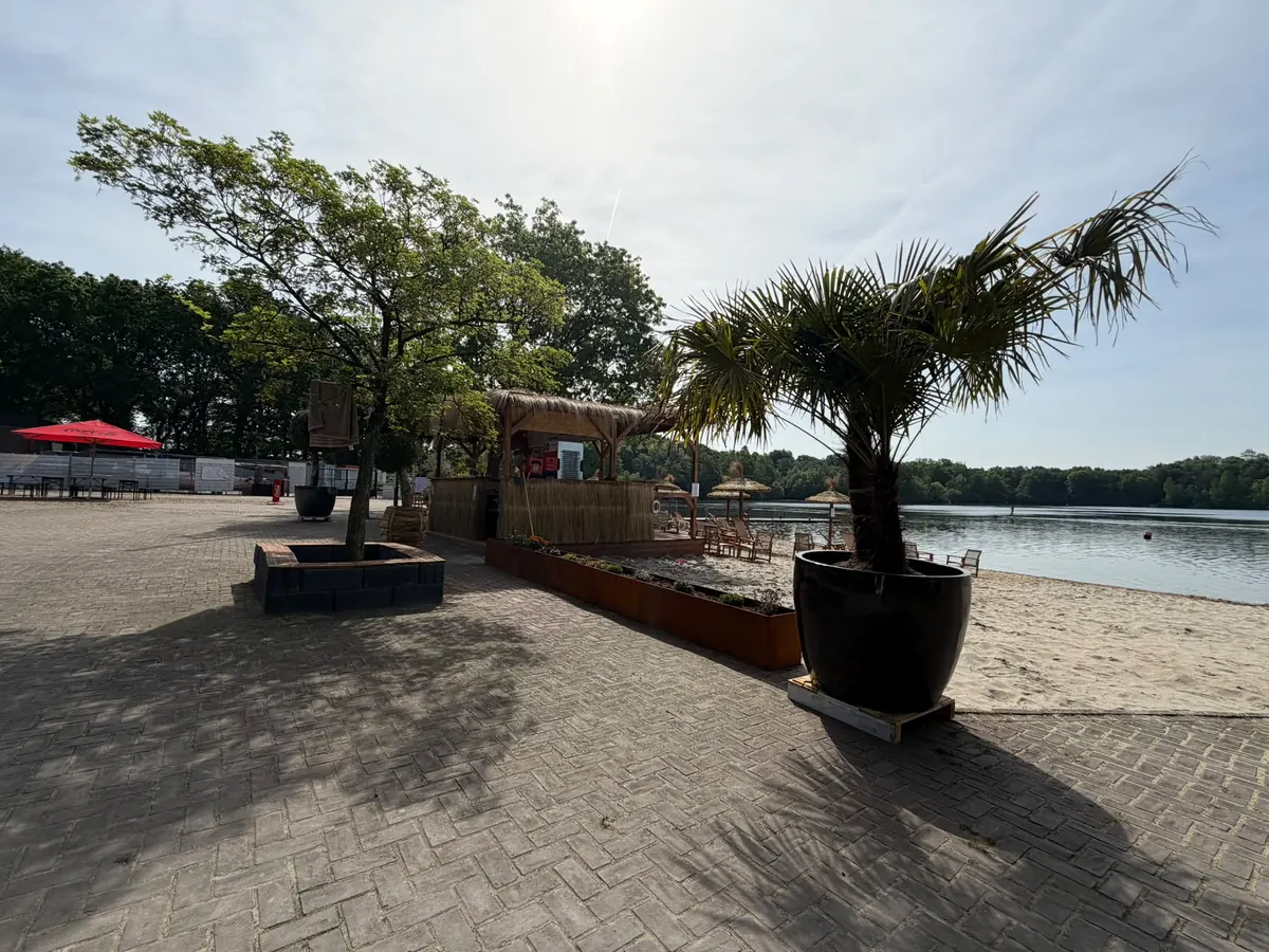 Terrasse mit Palmen und Blick auf den Wolfssee