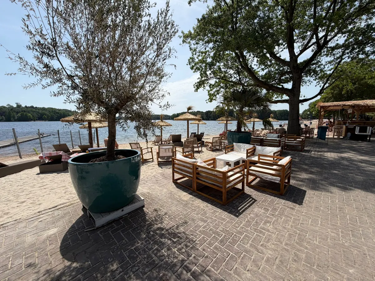 Olivenbaum und Loungemöbel mit Blick auf den See