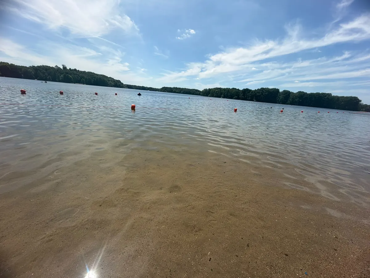Klares Wasser im Wolfssee in Duisburg