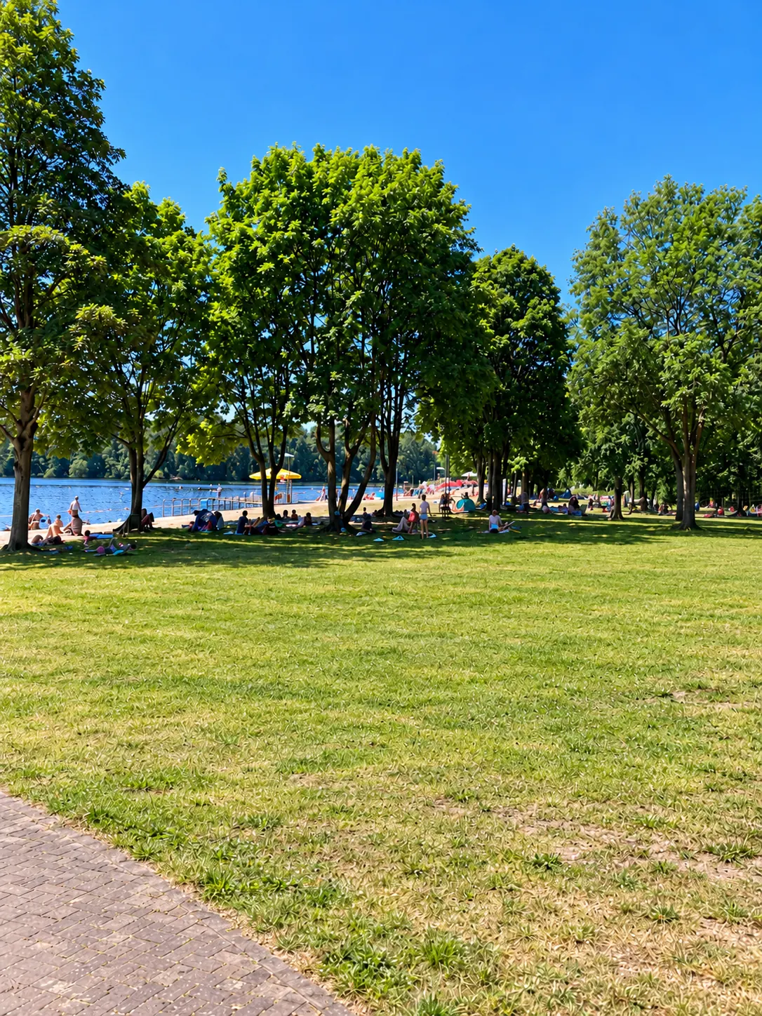 Liegewiese mit Bäumen am Wolfssee