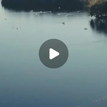 Luftaufnahme vom Wolfssee in Duisburg