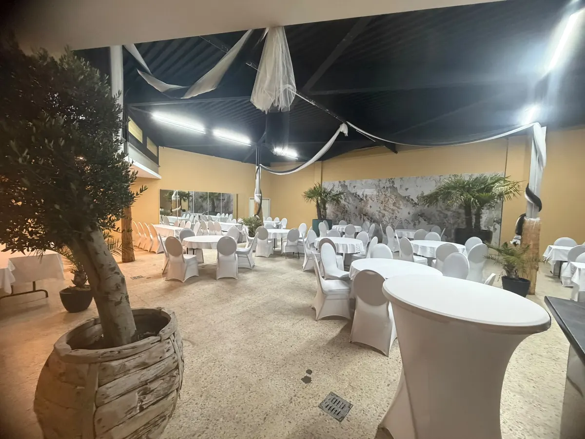 Festlich eingedeckter Indoorraum mit Olivenbaum